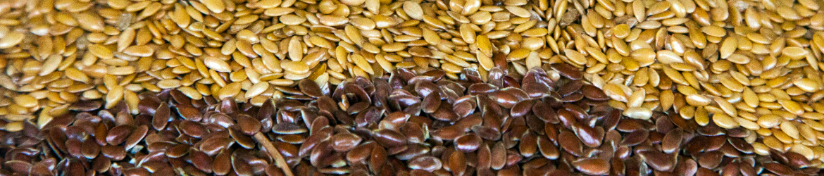 siemie_lniane_zlociste_i_brazowe