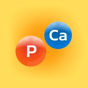 ikona wapń i fosfor