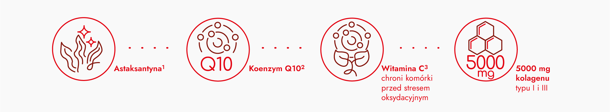koenzym witaminac kolagen