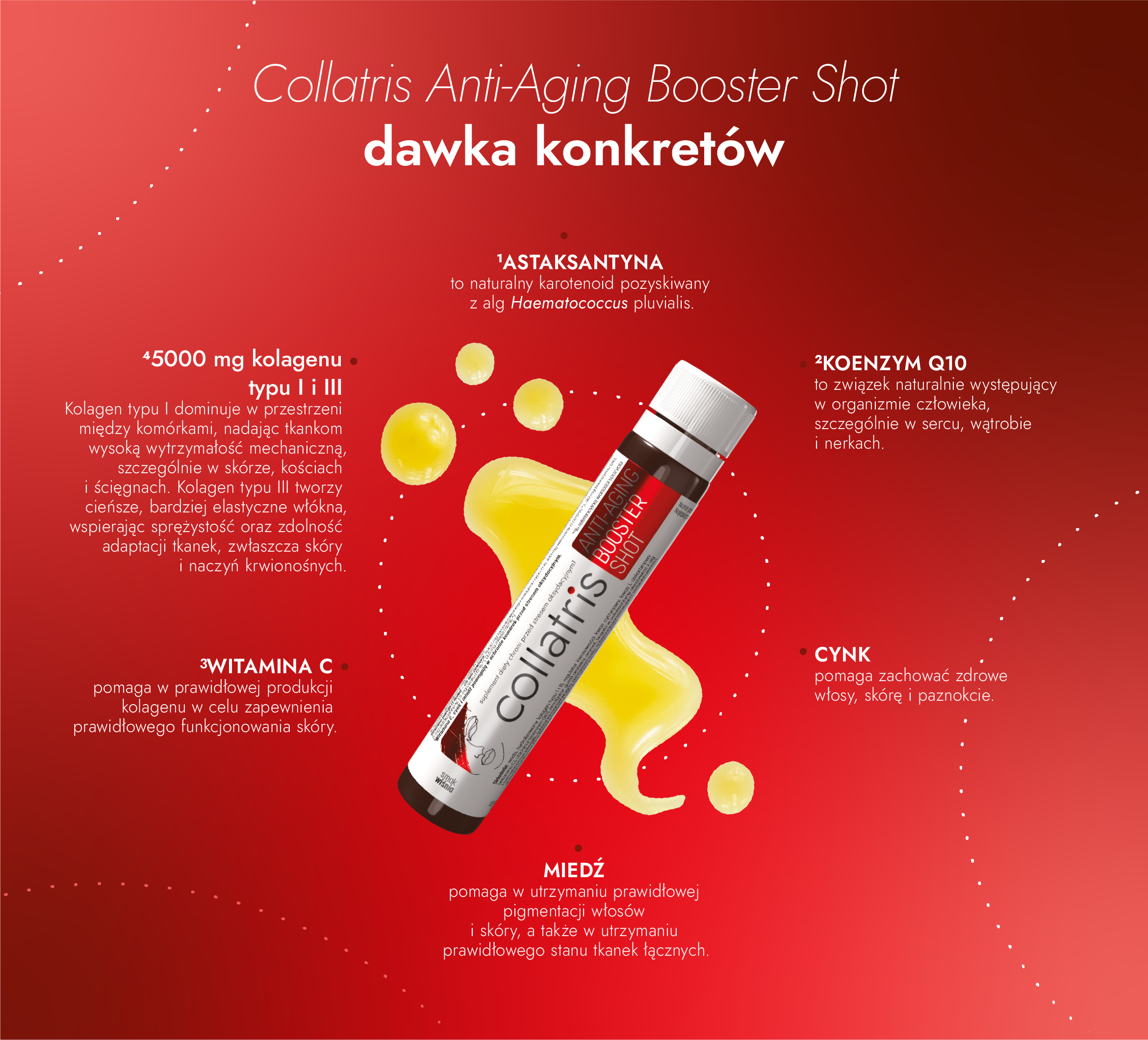 Infografika Collafris Anti-Aging Booster Shot prezentująca składniki produktu: kolagen typu I i III, astaksantynę, koenzym Q10, witaminę C, cynk i miedź.