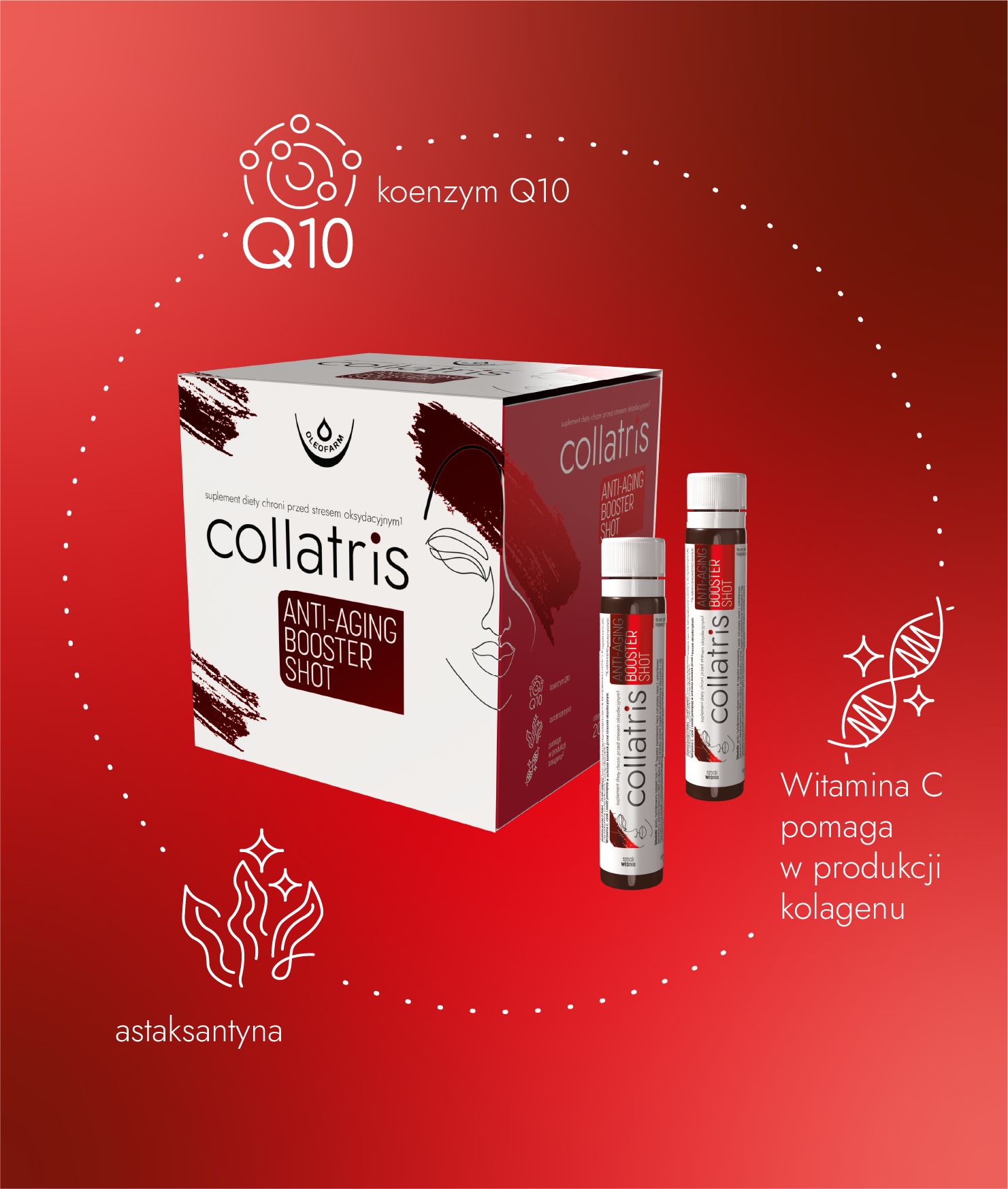 Collatris Anti-Aging Booster Shot z kolagenem typu I i III, astaksantyną, koenzymem Q10 oraz witaminą C – formuła wspierająca codzienną pielęgnację skóry od wewnątrz. Witamina C pomaga w prawidłowej produkcji kolagenu, a składniki takie jak witamina C, cynk i miedź wspierają ochronę komórek przed stresem oksydacyjnym.