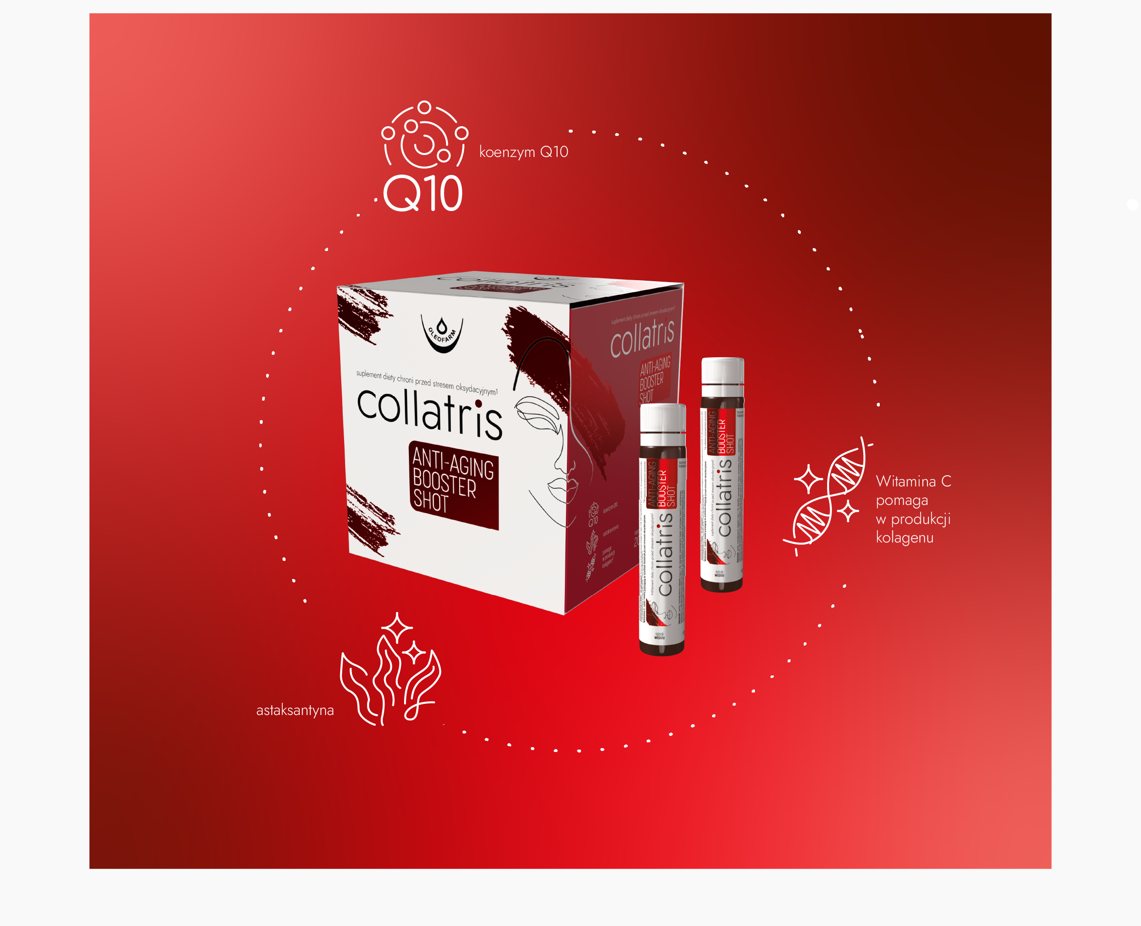 Collatris Anti-Aging Booster Shot z kolagenem typu I i III, astaksantyną, koenzymem Q10 oraz witaminą C – formuła wspierająca codzienną pielęgnację skóry od wewnątrz. Witamina C pomaga w prawidłowej produkcji kolagenu, a składniki takie jak witamina C, cynk i miedź wspierają ochronę komórek przed stresem oksydacyjnym.
