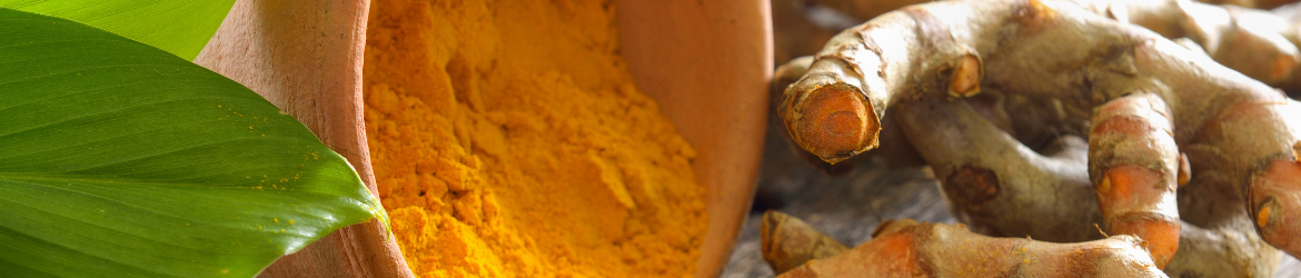 kurkuma