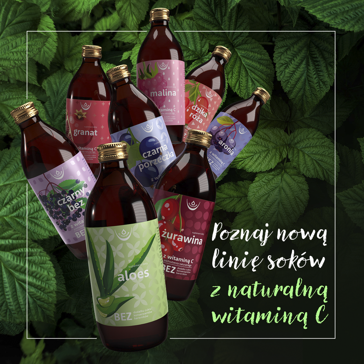 baner soki z naturalną witaminą C