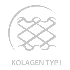 KOLAGEN_TYP1.png