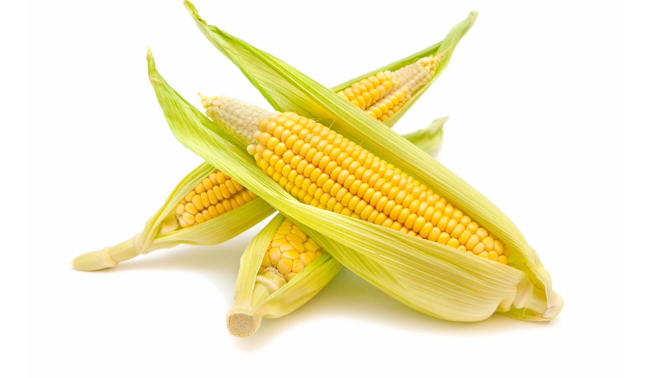 Olej kukurydziany – jakie ma właściwości i zastosowanie?