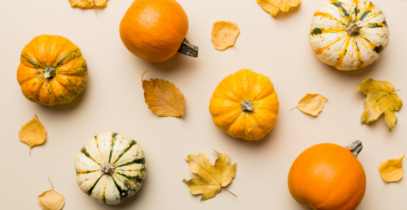 Dynia na talerzu – wartości odżywcze, wpływ na zdrowie i kulinarne inspiracje