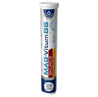 MAG-Vitum B6 SKURCZ, 24 tabletki musujące